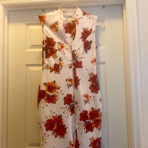 Rose Red and White Floral Dress